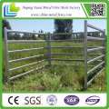 China Suplier Australian Standard 2.1mx1.8m Cattle Panel for Hot Sale